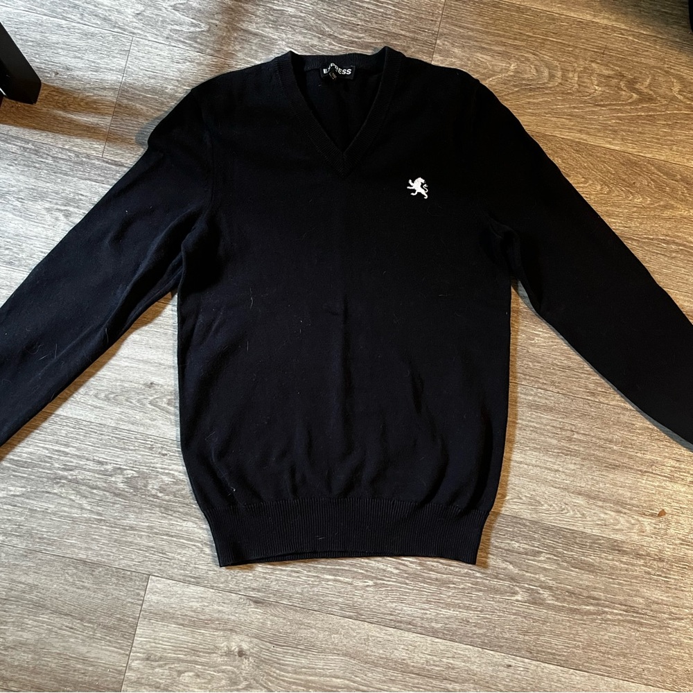 Express Mens V-neck Sweater